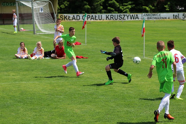 不得不离开 不得不离开