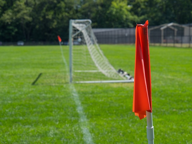 这一目标的 这一目标的